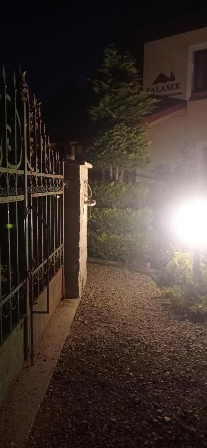 Zalasek Z Alpakami